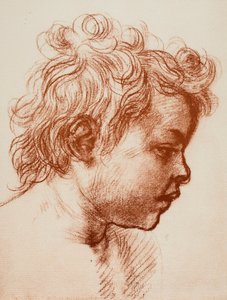 Studio per la testa di San Giovanni (bambino) della Sacra Famiglia da Andrea del Sarto