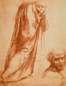Studio di drappeggio e ritratto maschile da Andrea del Sarto