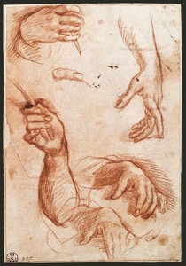 Studio delle mani (disegno a carboncino) da Andrea del Sarto