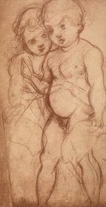 Studio di due cherubini