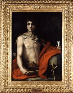 Immagine sconosciuta da Andrea del Sarto