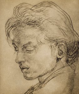 Testa virile di profilo da Andrea del Sarto