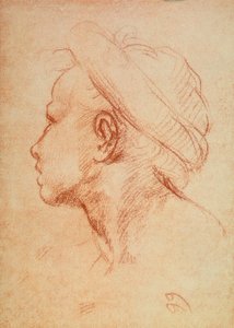 Testa di giovane in profilo da Andrea del Sarto