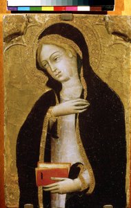 Vergine dell