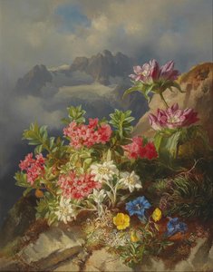 Natura morta con fiori alpini