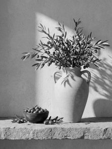 Natura morta di olive illuminata dal sole