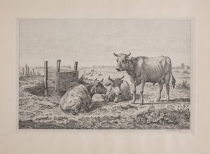 Danese: Un toro e due mucche da Andreas Peter Madsen