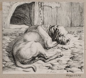 Un cane incatenato che dorme da Andreas Peter Madsen