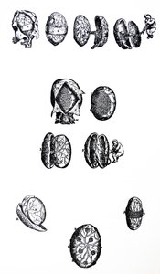 Le tavole del quinto libro del De Humani Corporis Fabrica da Andreas Vesalius