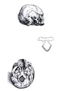 Le tavole dal primo libro del De Humani Corporis Fabrica da Andreas Vesalius