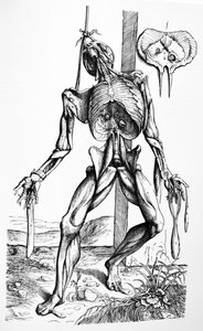Le Tavole dal Secondo Libro del De Humani Corporis Fabrica