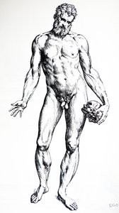 Le tavole dal settimo libro del De Humani Corporis Fabrica da Andreas Vesalius