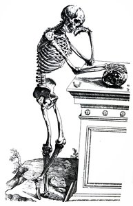 Le tavole dal settimo libro del De Humani Corporis Fabrica da Andreas Vesalius
