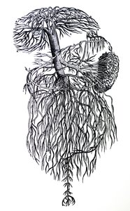Le tavole del terzo libro del De Humani Corporis Fabrica da Andreas Vesalius