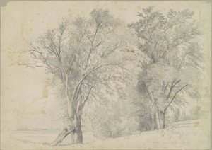 Olmi, Hudson