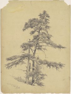 Alberi, West Virginia da Andrew Fisher Bunner