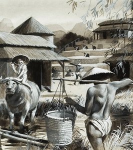 Agricoltura in Cina (gouache su carta) da Andrew Howat