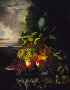La ricchezza dell