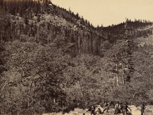 Piastra 19. Tra i legni alla testa del fiume Little Laramie, 1869 (foto) da Andrew Joseph Russell