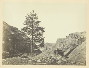 Albero delle mille miglia, Passo di Guglielmina da Andrew Joseph Russell