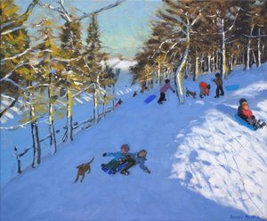 Famiglia in slitta, Youlgreave, Derbyshire, 2016 da Andrew Macara