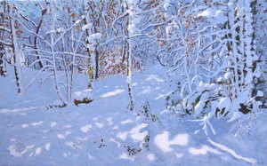 Neve di novembre, Allestree Woods, Derby