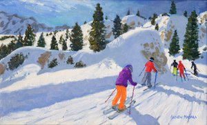 Sci, Rock City, Selva Gardena, Italia, 2016 da Andrew Macara