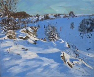 Slittatori, Derbyshire, 2011 da Andrew Macara
