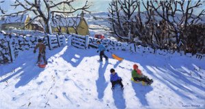 Slittino, Hartington, Buxton, 2020 da Andrew Macara