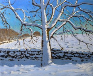 Albero Coperto di Neve, 2011 da Andrew Macara