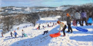 La slitta rossa, Allestree Park, Derby, 2016 da Andrew Macara
