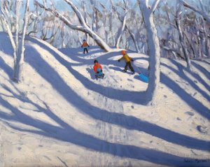 Inverno, Bramcote, Nottingham, 2009