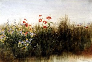 Fiori selvatici vicino a un ruscello
