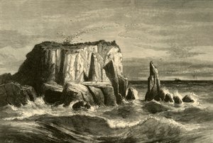 Scena costiera, contea di Marin, 1872