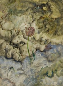 Emersione da Andrey Avinoff