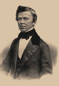 Ritratto del poeta Vladimir Grigoryevich Benediktov 1807-1873, 1870