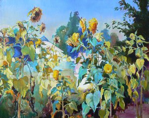 Girasoli dorati d