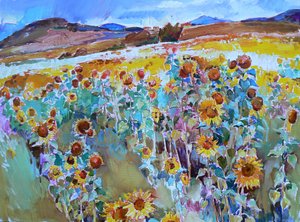 Campi di girasoli dorati