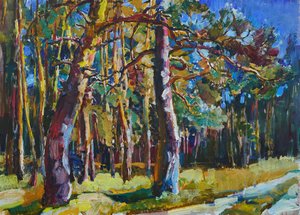 Sentiero nella pineta illuminata dal sole da Andrii Kutsachenko