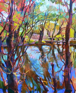 Riflessi vivaci della foresta da Andrii Kutsachenko