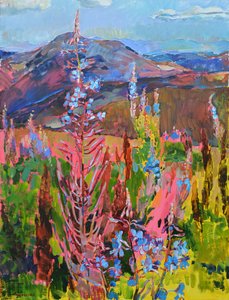 Fiori di montagna dai colori vivaci da Andrii Kutsachenko