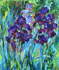 Iris viola dai colori vivaci da Andrii Kutsachenko