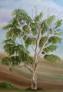  da Angeles M. Pomata