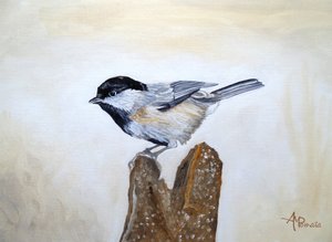 Cinciallegra su un ceppo