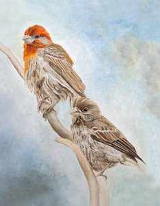  da Angeles M. Pomata
