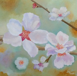 Delicati fiori primaverili da Angeles M. Pomata