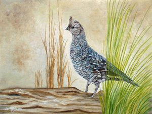 Gallo cedrone su un tronco