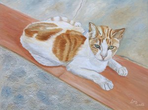 Gatto soriano arancione dall
