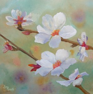 Fiori di mandorlo bianchi
