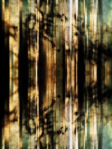 Ombre della foresta (astratto) da Angelo Cerantola
